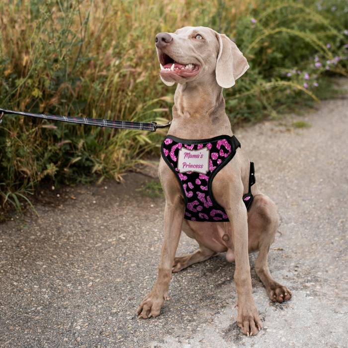 Personalizirani pasji oprsnica - Princeska