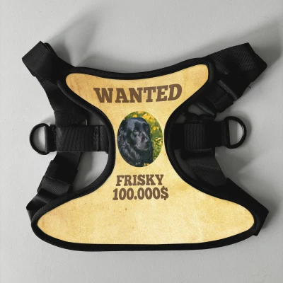 Personalizirani pasji oprsnica - Wanted