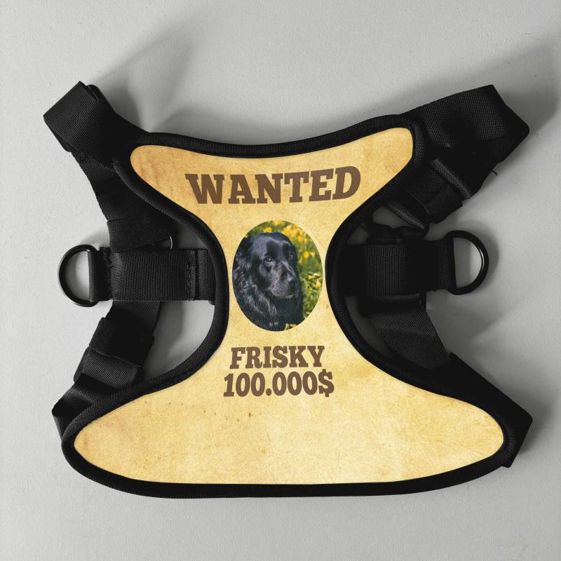 Personalizirani pasji oprsnica - Wanted Personalizirani pasji oprsnica - Wanted