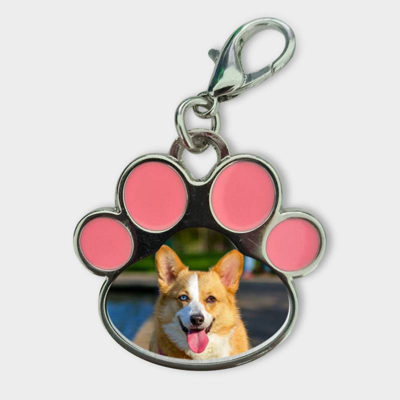 Personaliziran obesek za živali – Hišni ljubljenček