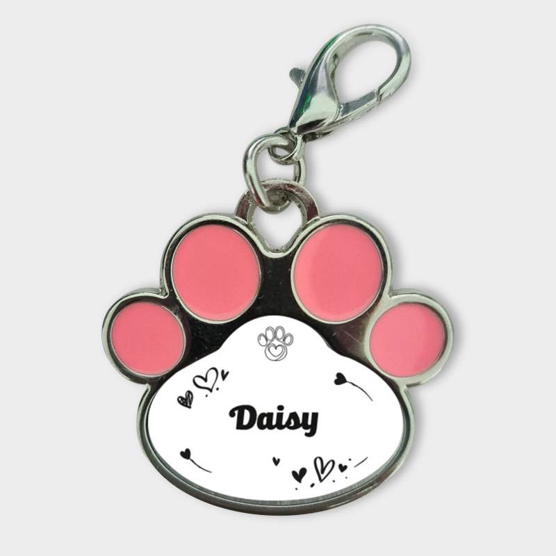 Personaliziran obesek za živali - Z imenom živali graviran