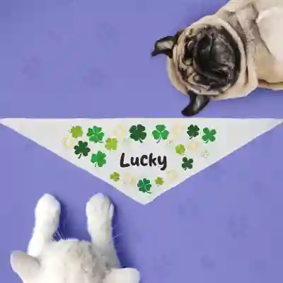 Bandana za psa – Zlata deteljica