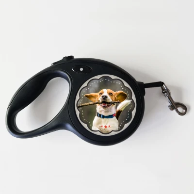 Povodec za psa – Vse, kar potrebujete