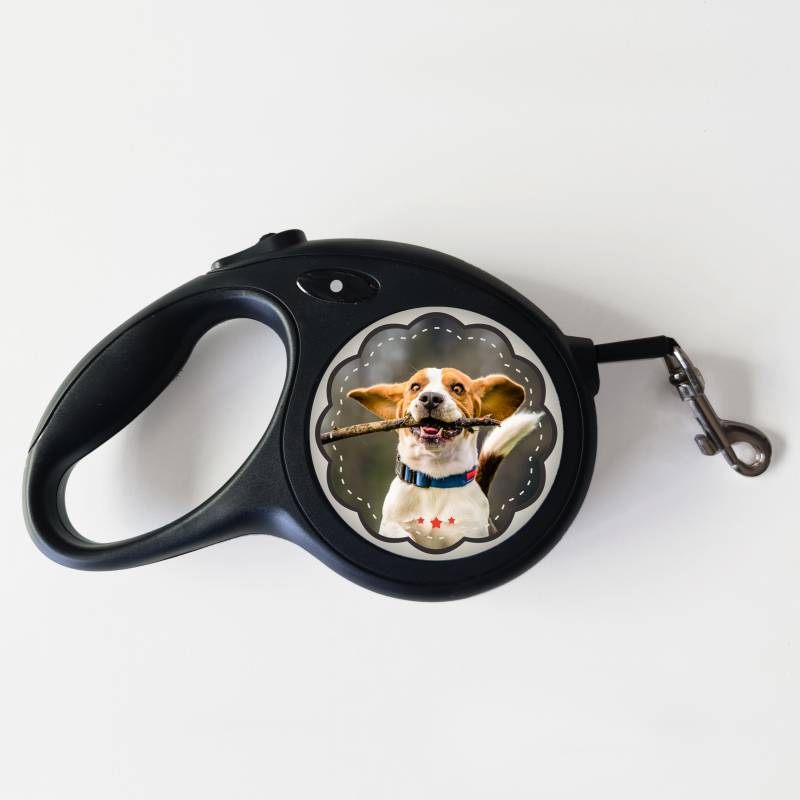 Povodec za psa – Vse, kar potrebujete