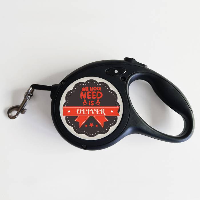 Povodec za psa – Vse, kar potrebujete