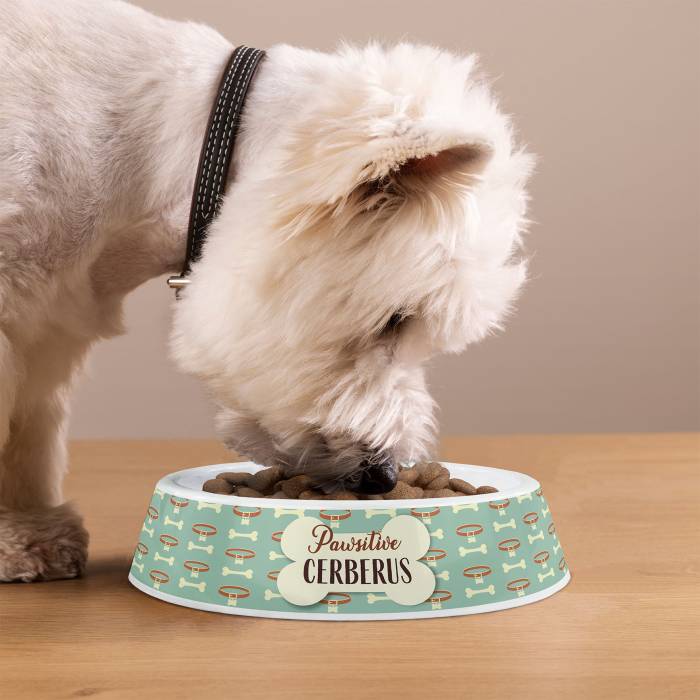 Personalizirana plastična posoda za pse - Pawsitive