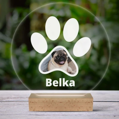 Personalizirana 3D-LED-svetilka s tvojim hišnim ljubljenčkom