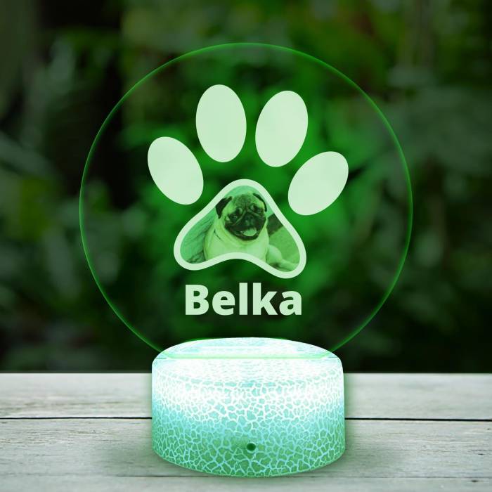 Personalizirana 3D-LED-svetilka s tvojim hišnim ljubljenčkom