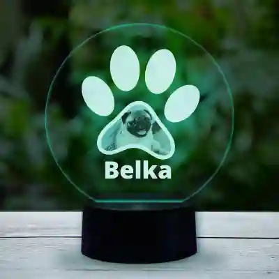 Personalizirana 3D-LED-svetilka s tvojim hišnim ljubljenčkom