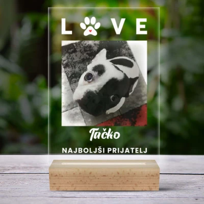 Personalizirana 3D-LED-svetilka s fotografijo tvojega kužka