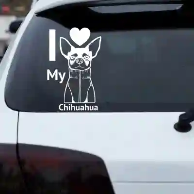 Nalepka za avto - Chihuahua