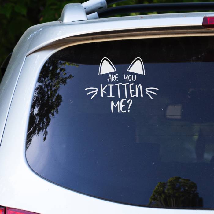 Nalepka za avto - Kitty