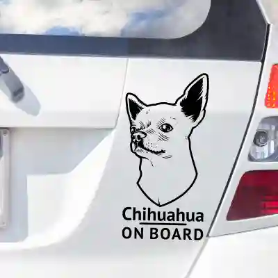Nalepka za avto - Chihuahua