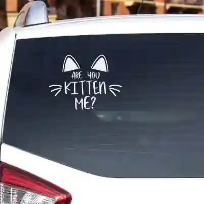 Nalepka za avto - Kitty